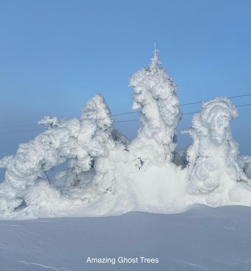 Hafjell Alpinlandsby Apt 88 Экстерьер фото